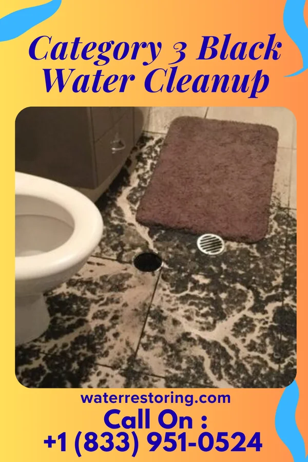 Category 3 Black Water Cleanup in Du Bois, IL