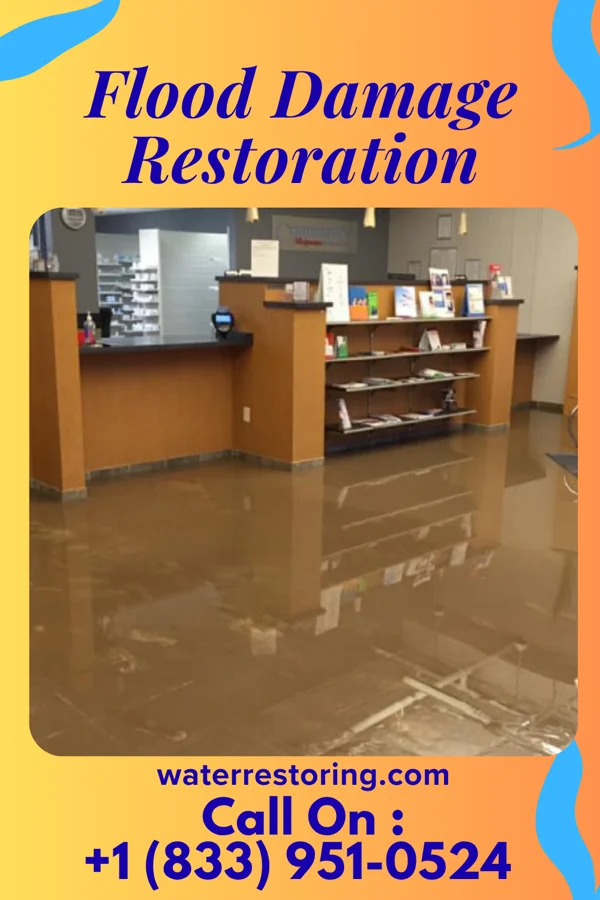 Flood Damage Restoration in Du Bois, IL