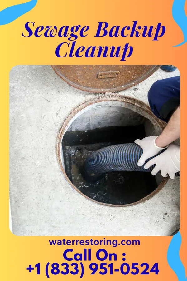 Sewage Backup Cleanup in Du Bois, IL