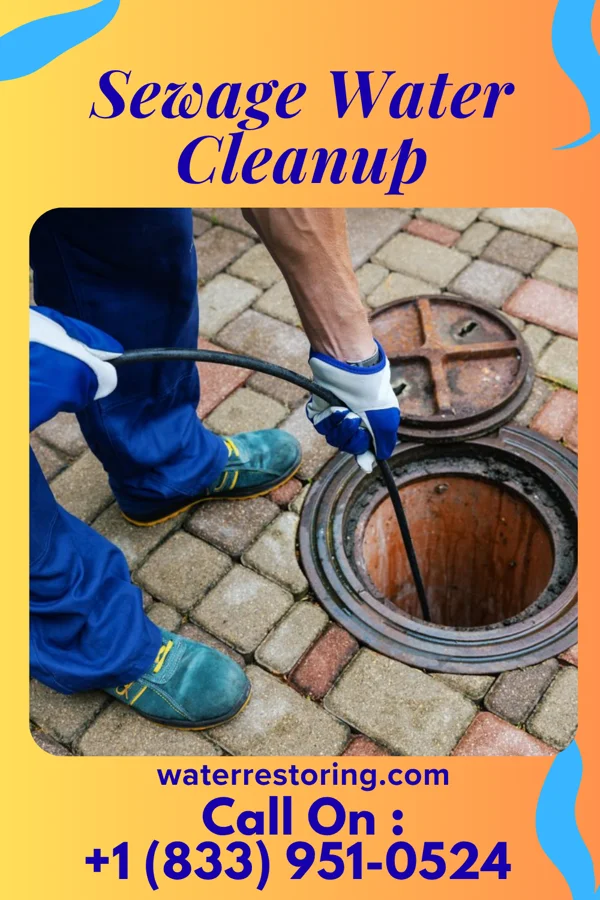 Sewage Water Cleanup in Du Bois, IL